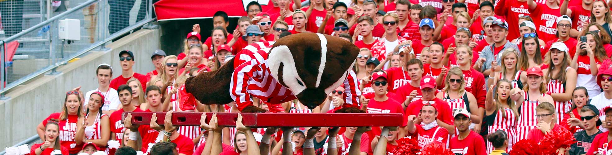 Bucky Doing Pushups At Camp Randall During a Football Game